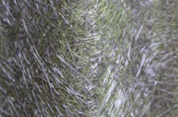 Pentre Cwrt fibreglass roof work